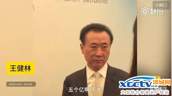 王健林5個億小投資
