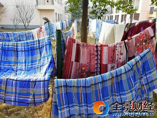 開學(xué)季大學(xué)生集體曬被子