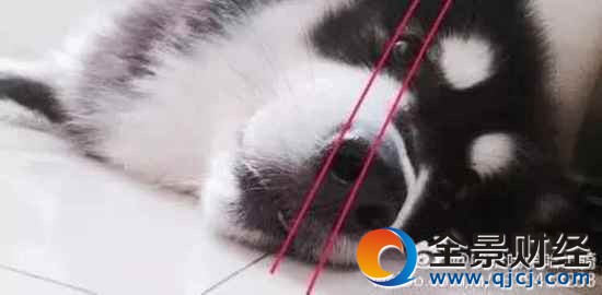 13萬(wàn)網(wǎng)友曝光行業(yè)秘密 門(mén)外漢看得沉迷無(wú)法自拔