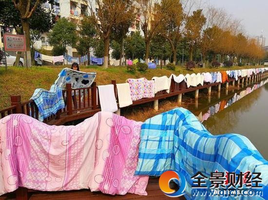 開學(xué)季大學(xué)生集體曬被子
