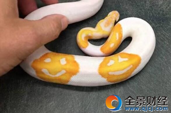 ߻y΢Ц һD(zhun)߀c(din)ȡ